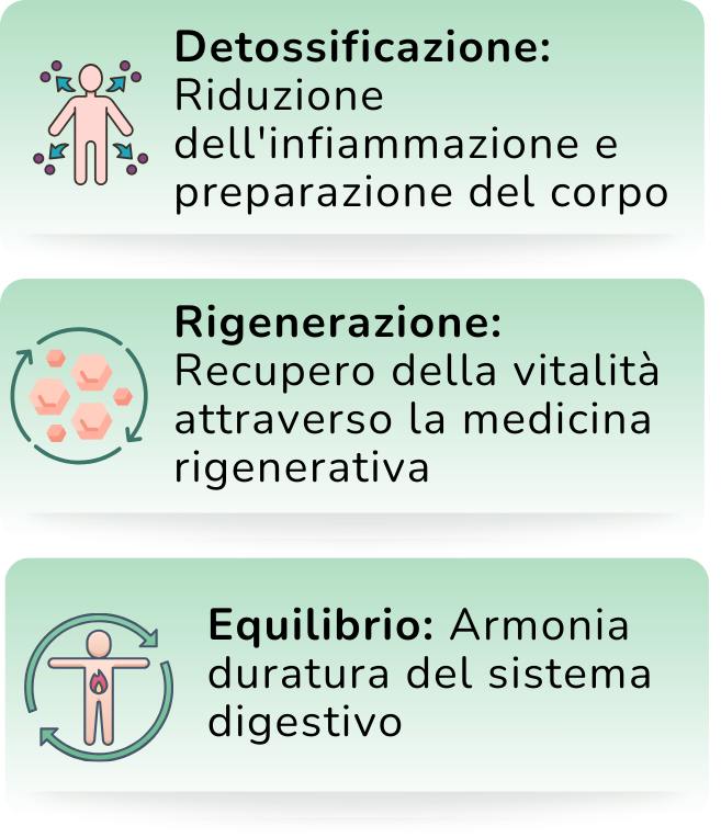 website imagens (4)